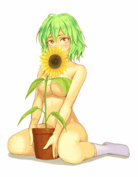 Image: 5314954