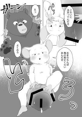 Image: 11867788