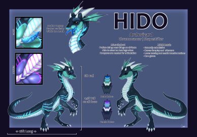 Image: 2484488