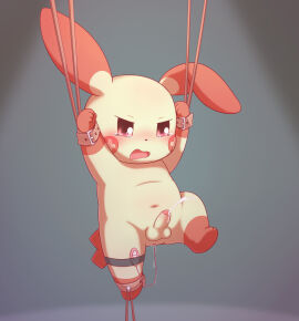 Image: 5370343
