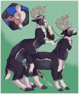 Image: 3621504
