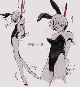 Image: 9504692