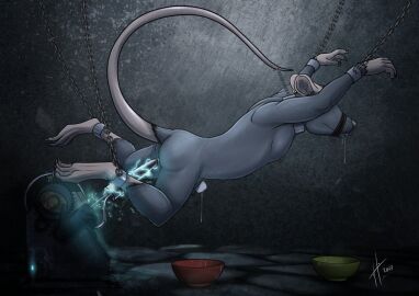 Image: 13014969