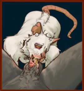 Image: 11636435