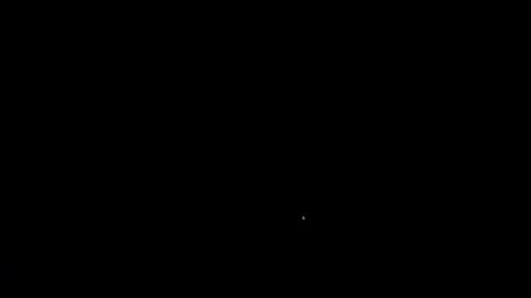 Image: 13064086