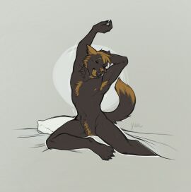 Image: 11374763