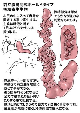 Image: 8991624