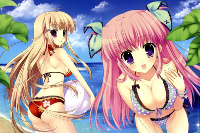 Image: 75198
