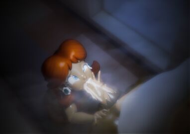 Image: 13093332