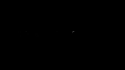 Image: 9847386