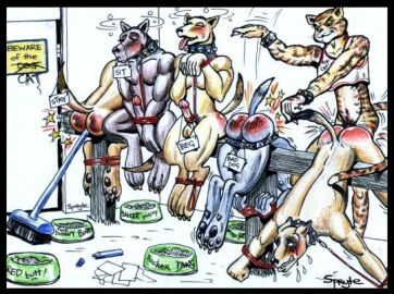 Image: 2353079
