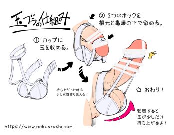 Image: 8062109
