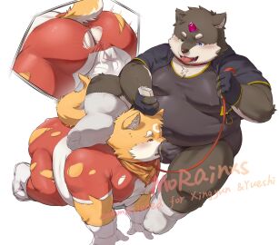 Image: 10825838