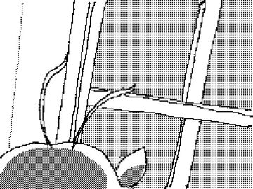 Image: 8524872