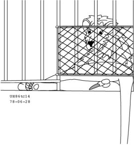 Image: 13014695