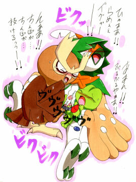 Image: 2803035