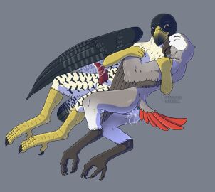 Image: 1643440