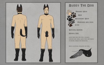 Image: 229053