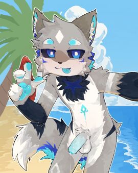 Image: 13223511