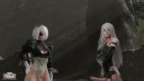 Image: 13050153