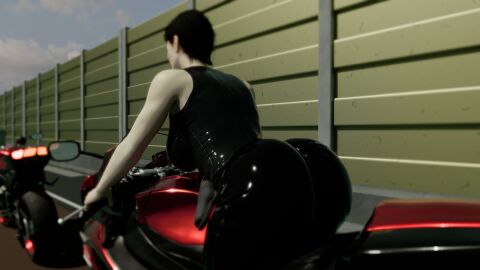 Image: 12661690