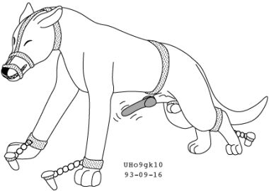 Image: 13020224