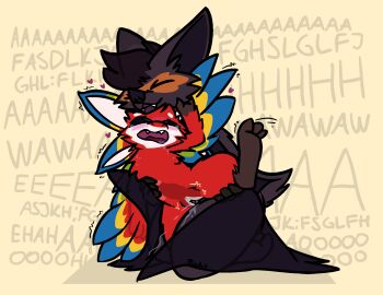 Image: 12846215
