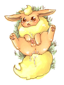 Image: 982442