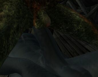 Image: 3171351