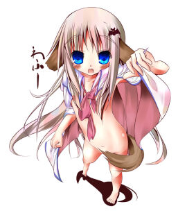 Image: 2416533