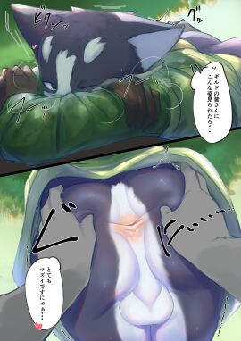 Image: 4821948