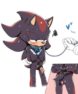 Image: 929058