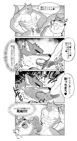 Image: 11377863