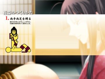 Image: 3051651