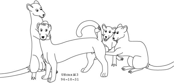 Image: 13015087