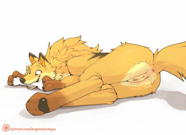 Image: 5347529