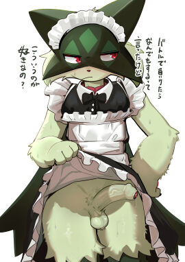 Image: 13020498
