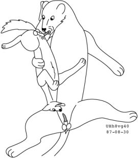 Image: 13012050