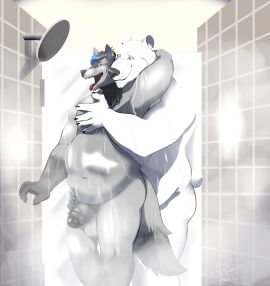 Image: 11386914