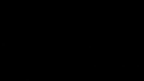 Image: 3424943