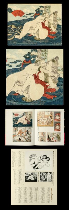 Image: 19148