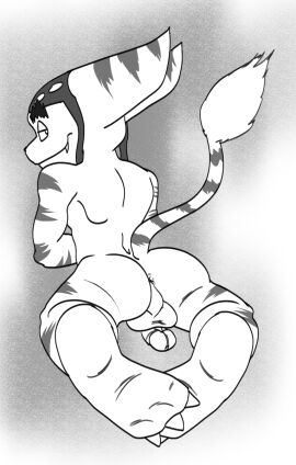 Image: 91991
