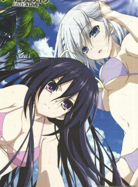 Image: 12909518
