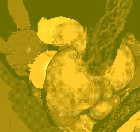 Image: 12070520