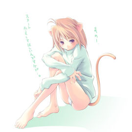 Image: 9400891