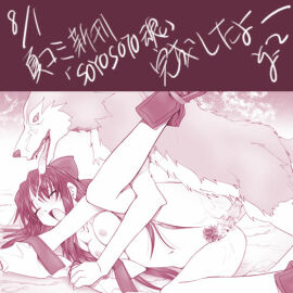 Image: 1556494