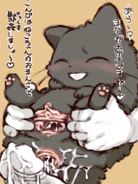 Image: 12571453