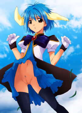 Image: 3022310