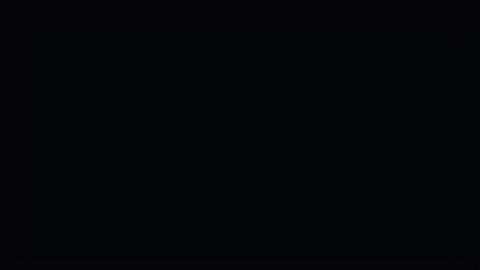 Image: 13101213