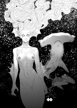 Image: 11785202
